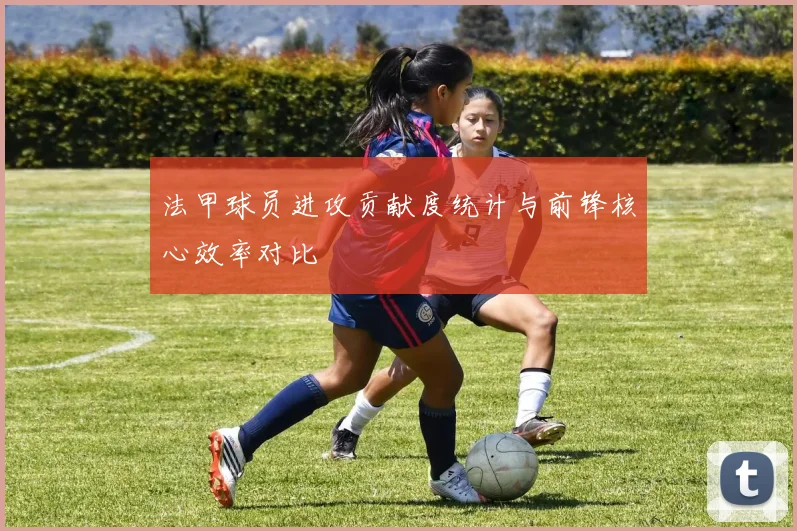 法甲球员进攻贡献度统计与前锋核心效率对比