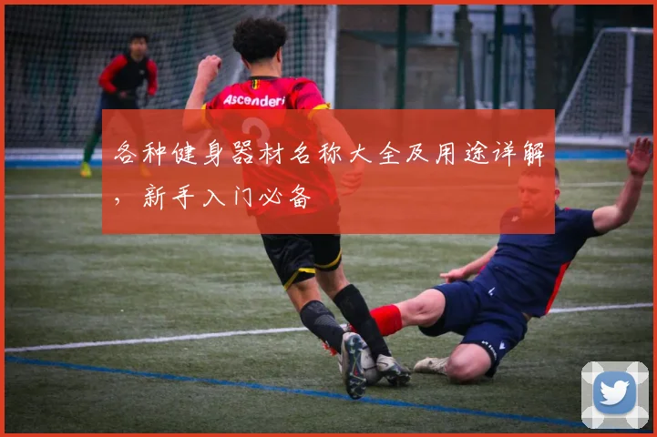 各种健身器材名称大全及用途详解，新手入门必备