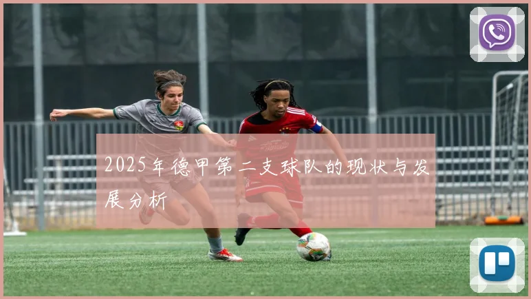 2025年德甲第二支球队的现状与发展分析