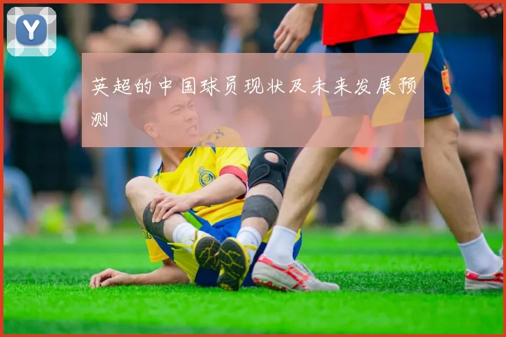 英超的中国球员现状及未来发展预测