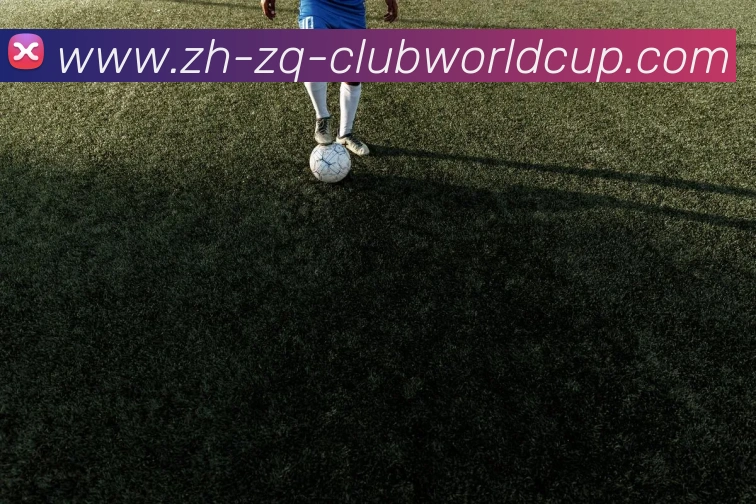 世界杯官网服务体系